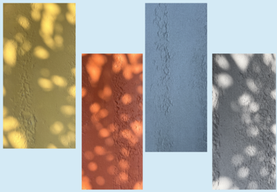 Texture Series 3: Rammed Earth